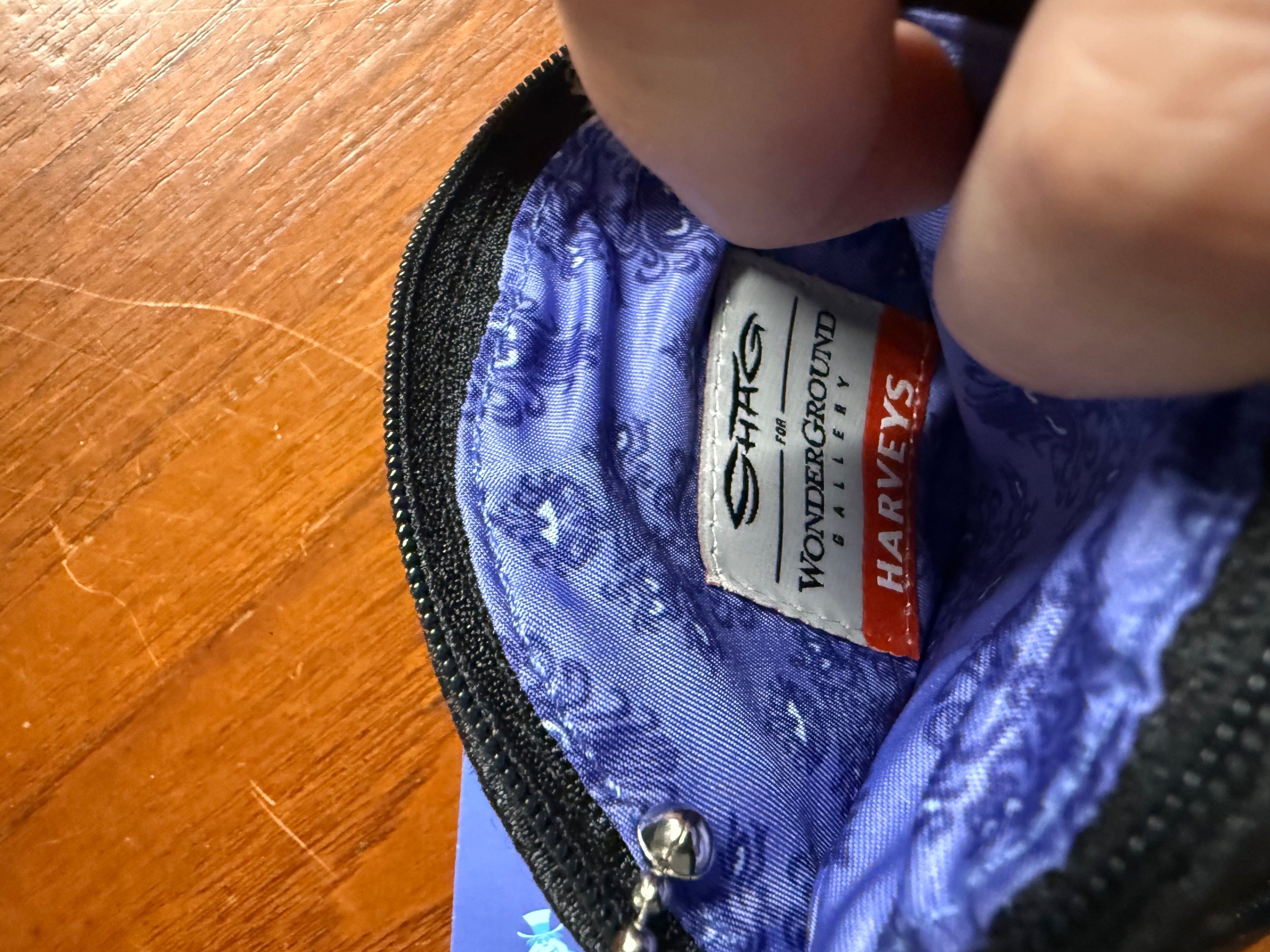 NWT Disney x Harveys x SHAG Haunted Mansion 50th Anniversary Doom Buggy Coin Purse