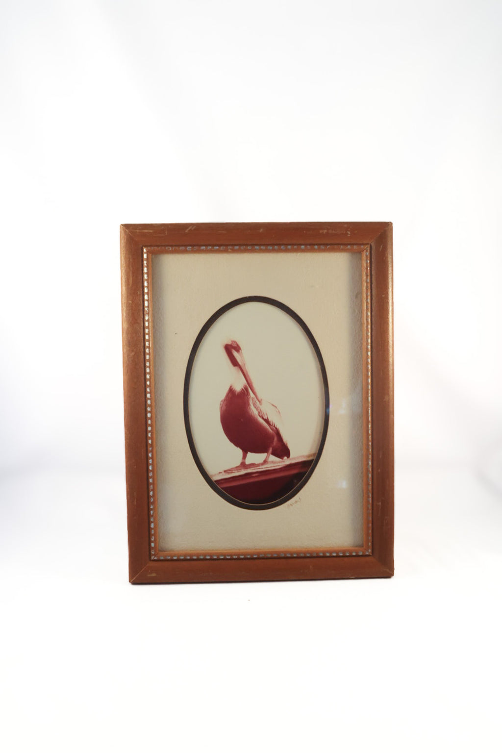 Vintage Mid-Century MCM Pelican Art Print