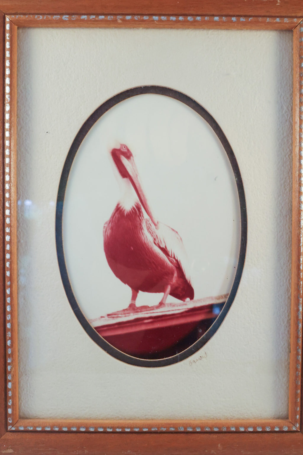 Vintage Mid-Century MCM Pelican Art Print