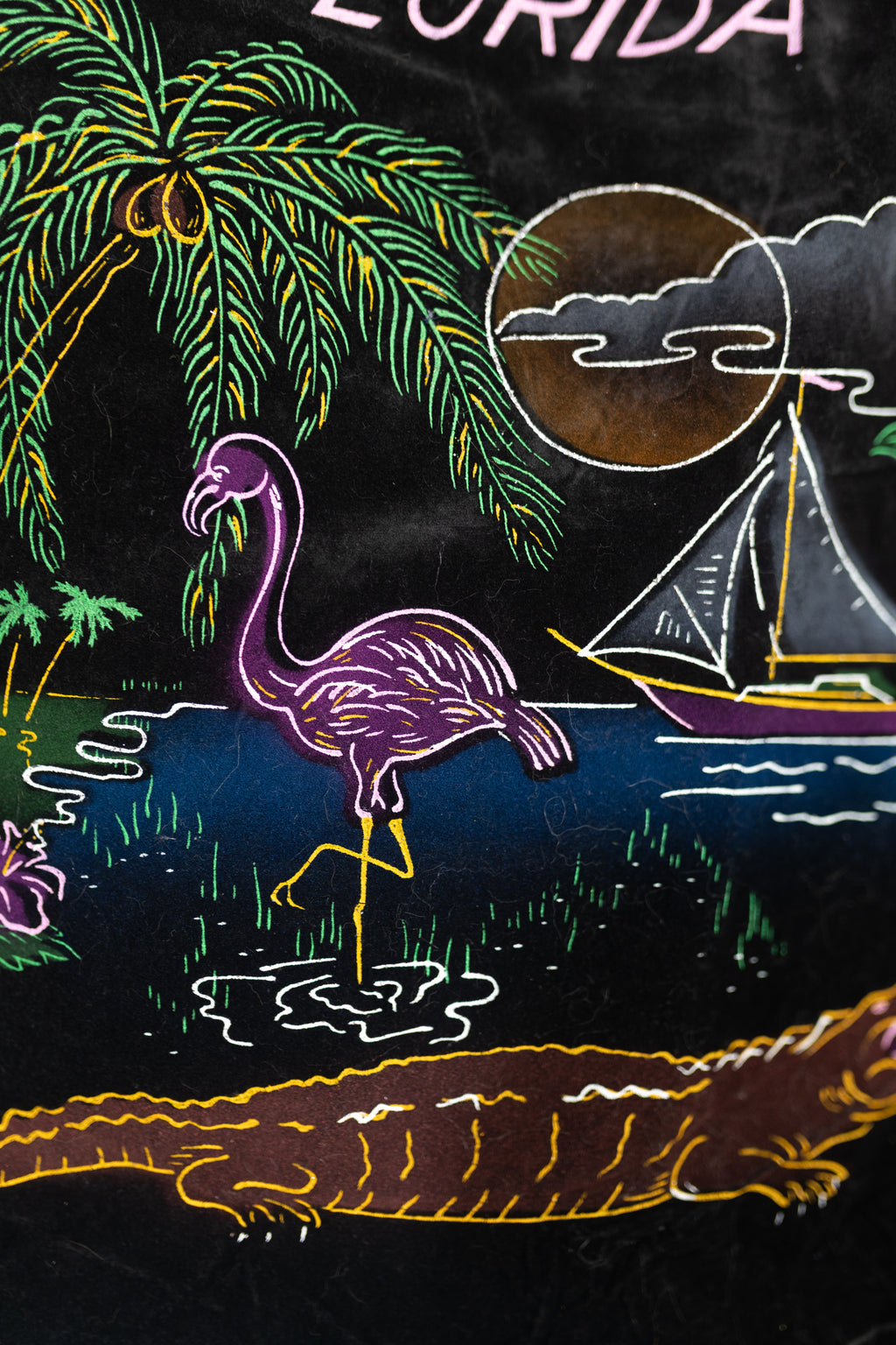 Vintage Black Velvet Florida pillow cover