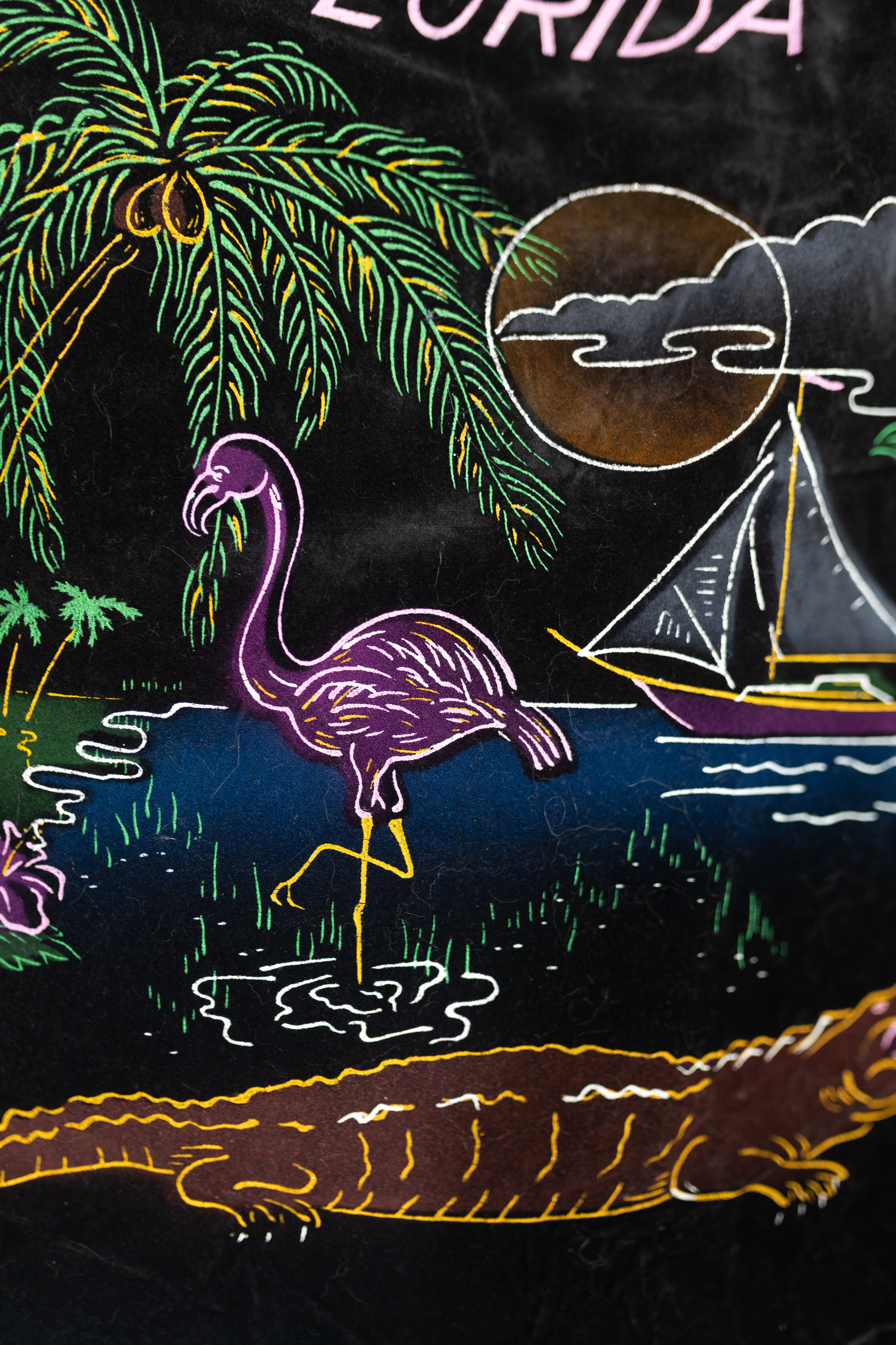 Vintage Black Velvet Florida pillow cover